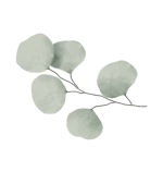 Natural Coconut Cleansing Oil